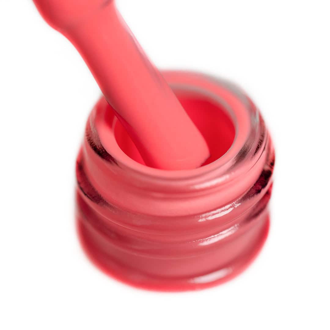 candy-shop-413-coral-reef