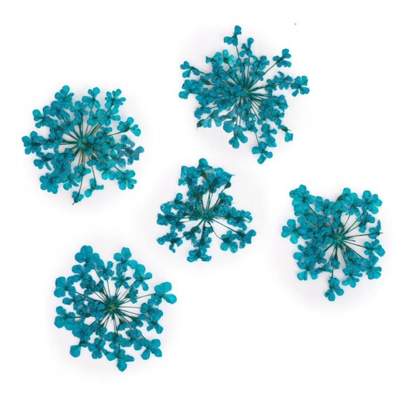 dry-flowers-turquize-5pcs