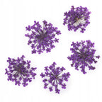 dry-flowers-purple-5pcs