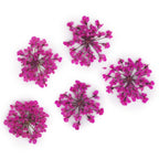 dry-flowers-peach-pink-5pcs
