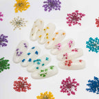 dry-flowers-white-5pcs