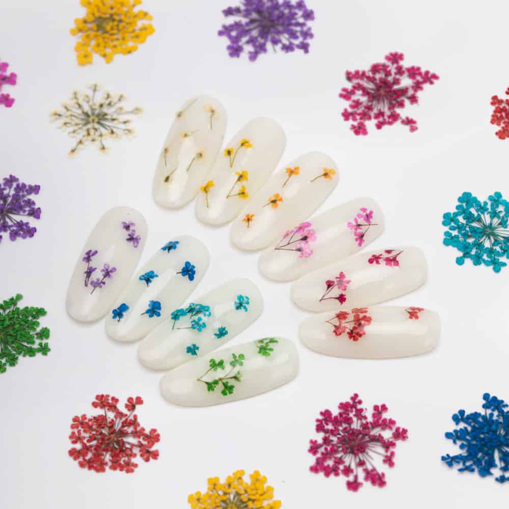 dry-flowers-white-5pcs