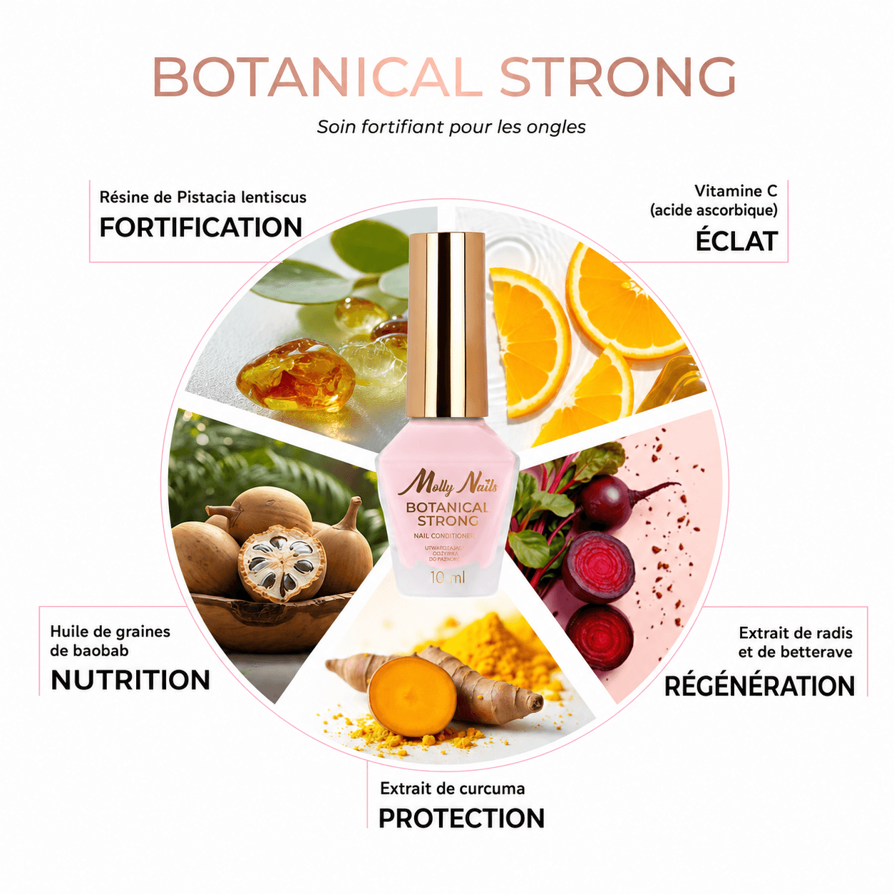 Botanical Strong Nail Conditioner MollyNails 10ml